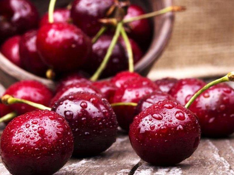 Вишня купить саженцы из питомника в Берёзовском